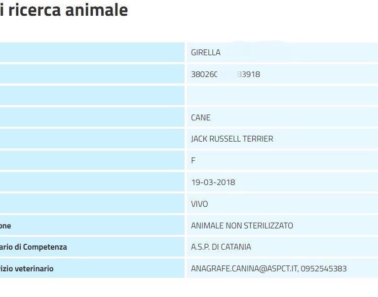 Verifica se il tuo Pet è già registrato